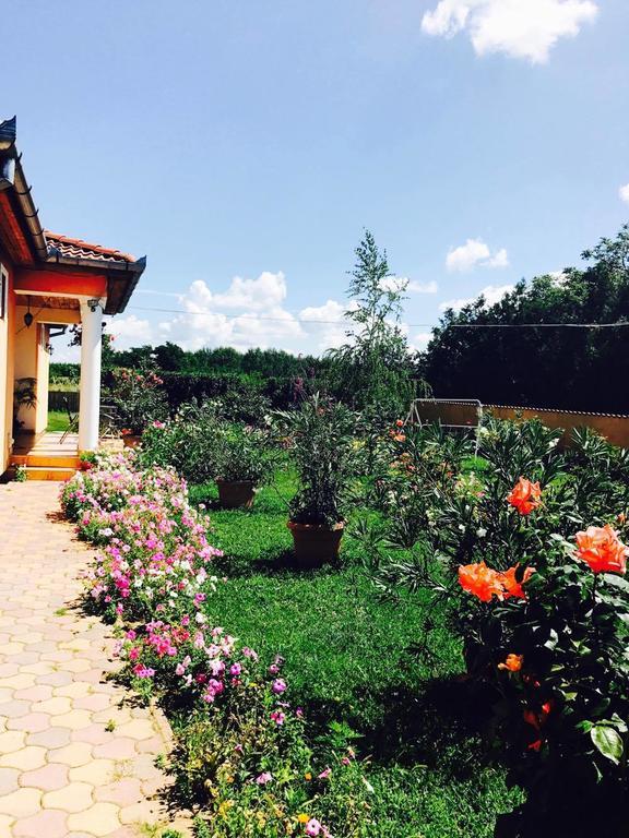 Liget Panzio Hotel Nyirbogdany Exterior photo